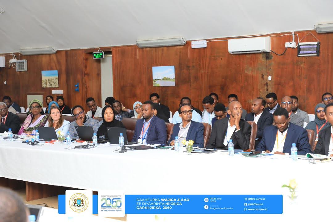 Vision launch